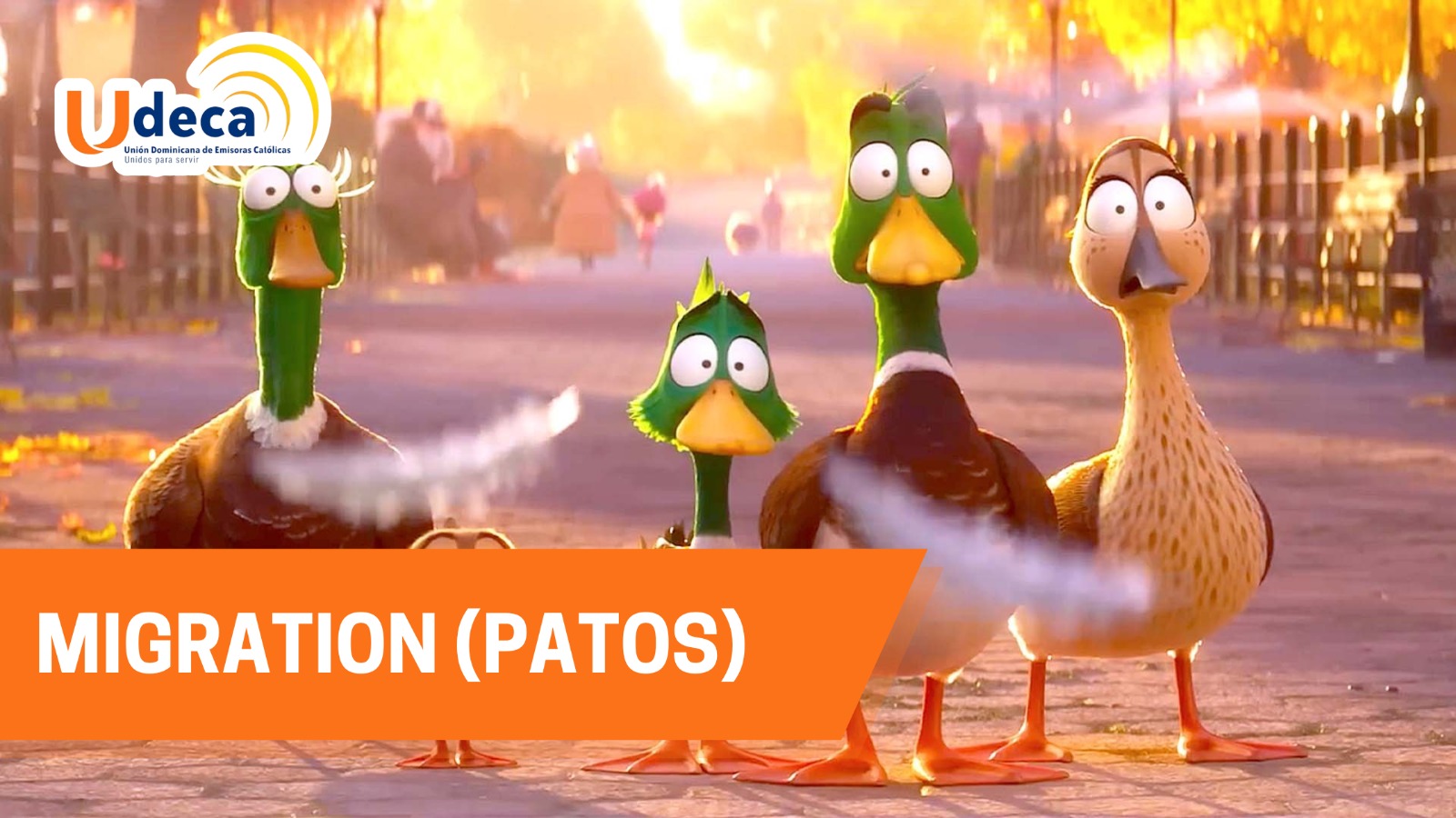 Migration ¡Patos!